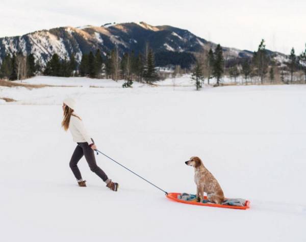 a-guy-documents-his-dogs-extremely-satisfying-life-20-photos-12
