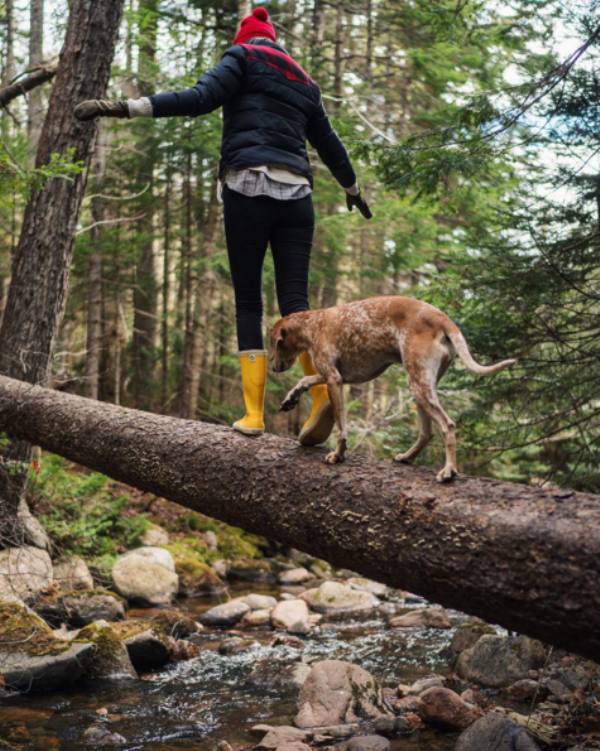 a-guy-documents-his-dogs-extremely-satisfying-life-20-photos-15
