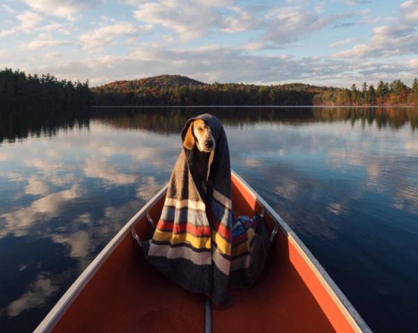 a-guy-documents-his-dogs-extremely-satisfying-life-20-photos-17