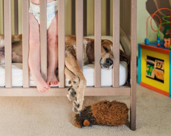 a-guy-documents-his-dogs-extremely-satisfying-life-20-photos-21