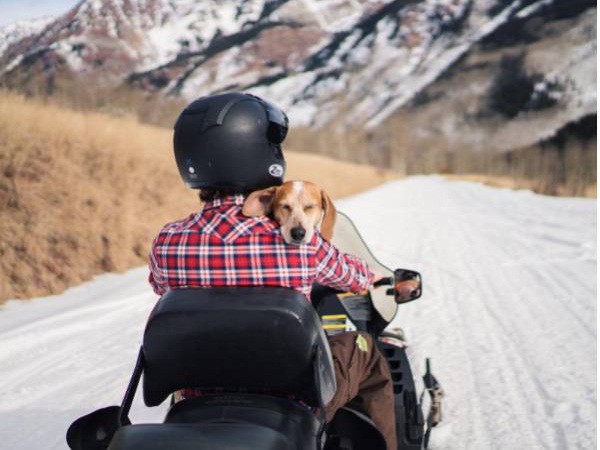 a-guy-documents-his-dogs-extremely-satisfying-life-20-photos-211
