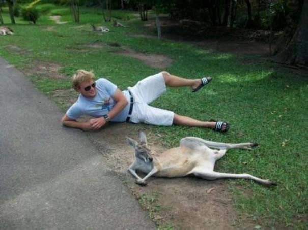 australia (7)