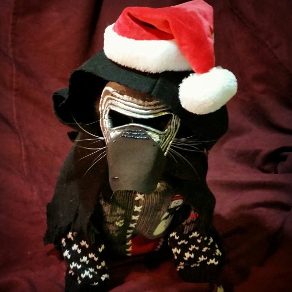 cat-cosplay-blog-5