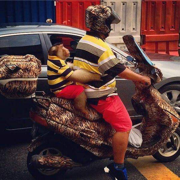 even_a_boring_daily_commute_sometimes_has_bizarre_moments_like_these_640_25