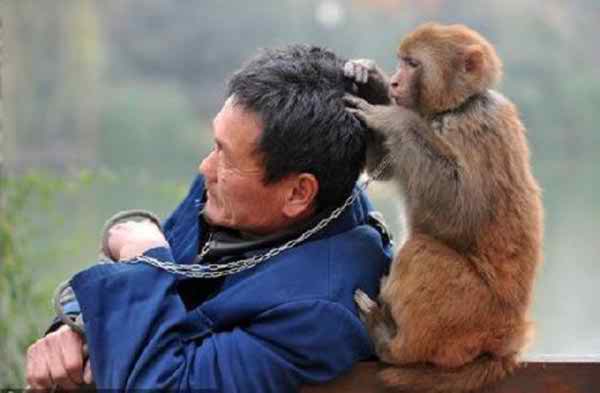 helping-animals27