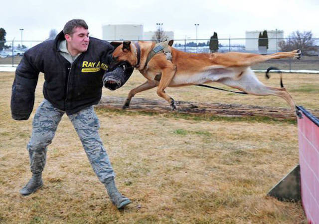 perfect_photo_moments_where_timing_was_everything_640_04