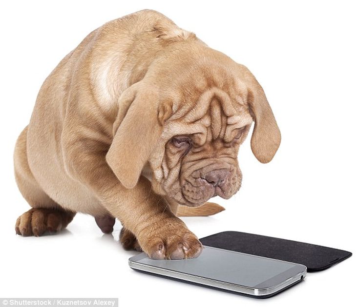 phone.jpg