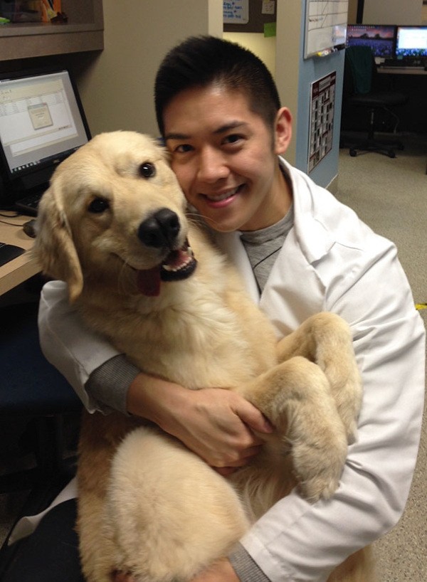 working-at-an-animal-hospital-has-its-perks-22-photos-2.jpg