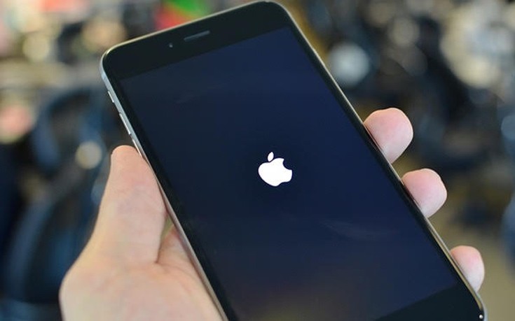 apple01.jpg