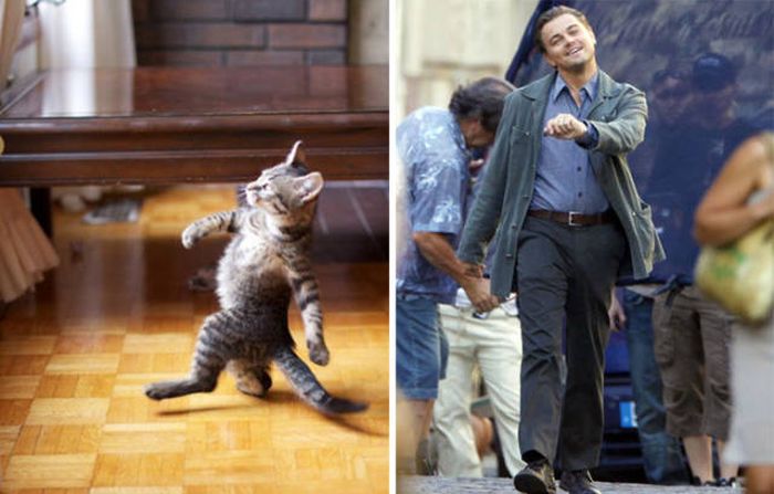 celebs_similar_animal_doppelgangers_02.jpg
