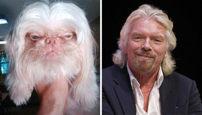 celebs_similar_animal_doppelgangers_45