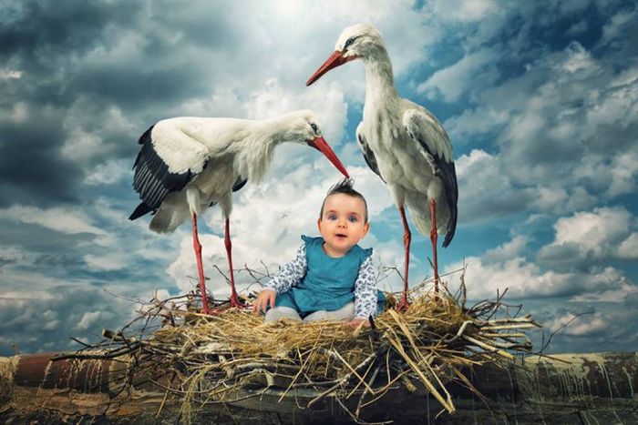 john_wilhelm_is_photoholic_08