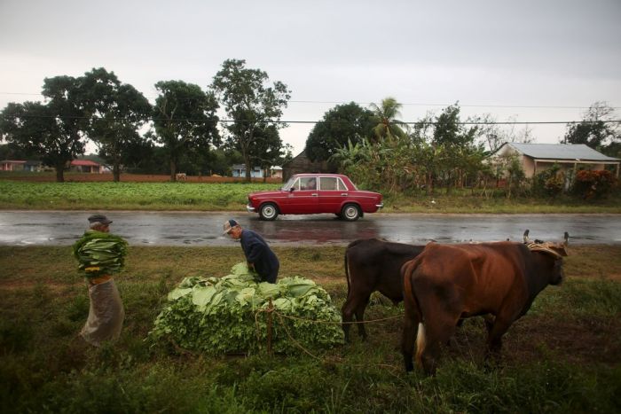 life_in_cuba_25