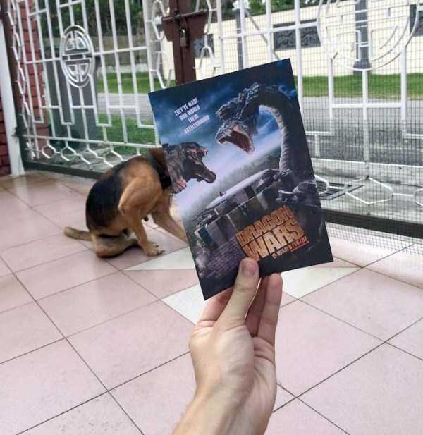 movie-posters-mixed-with-reality-1.jpg