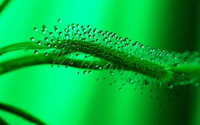 nanotech_1.medium.jpg