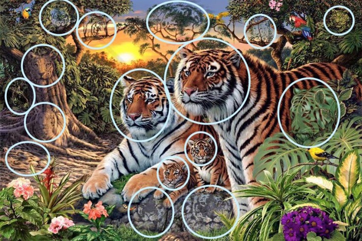 tigers1.jpg