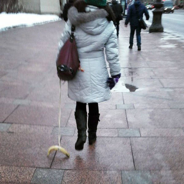 wtf_is_russias_normal_23