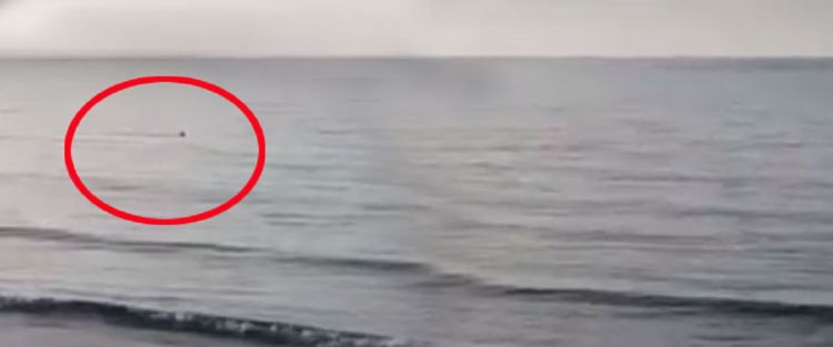 Τρόμος στη θάλασσα της Κύπρου: Δείτε τι κατέγραψε κάμερα (video)!