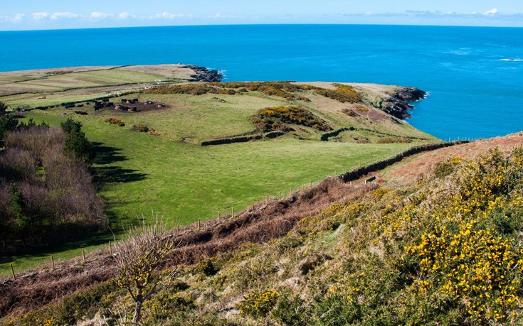 Bardsey8