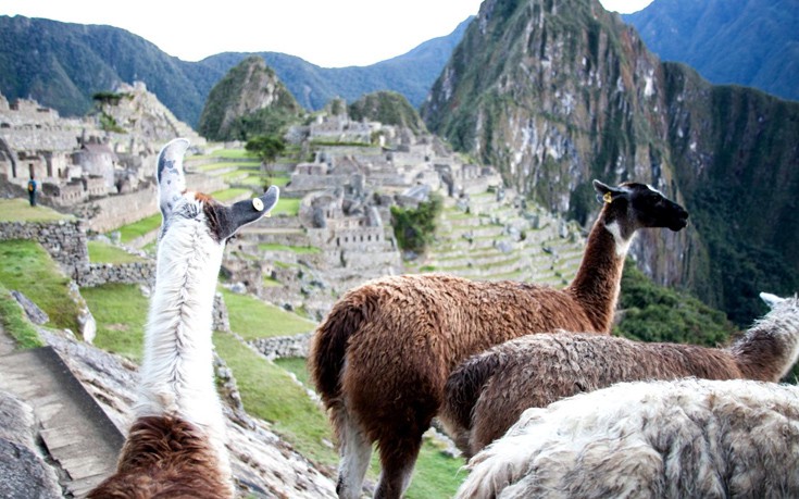 PERU9