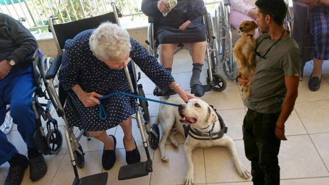 Αυτός είναι ο Κύπριος Animal Therapist και τα δύο σκυλιά που γιατρεύουν την ψυχή των ασθενών σε στέγες