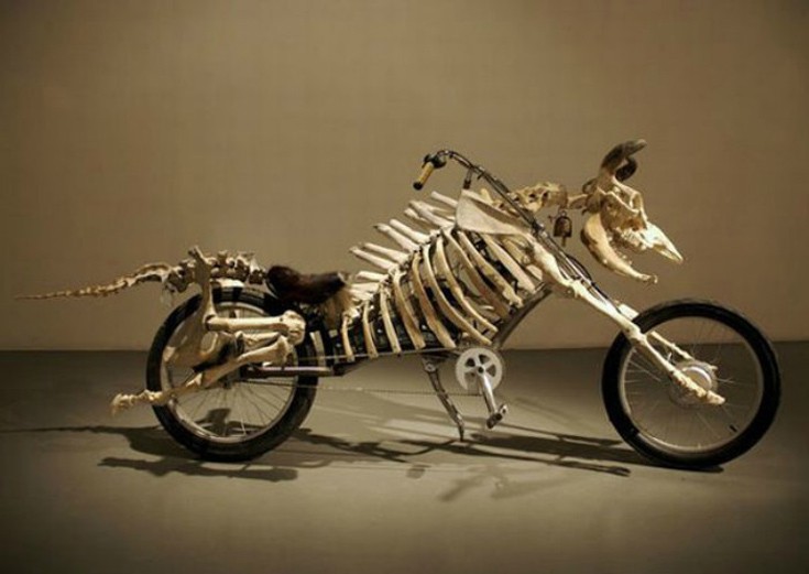bikes5