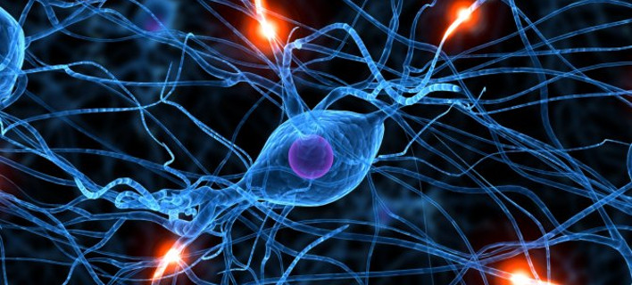 brain-memory-neurons-670-1.jpg
