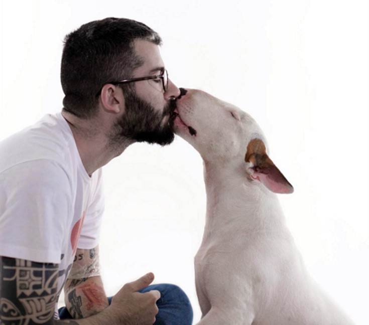 dog19