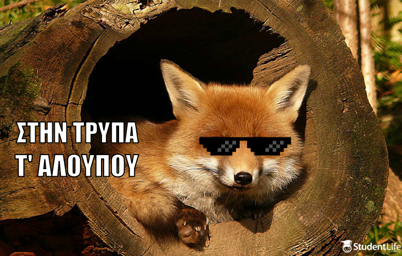 fox