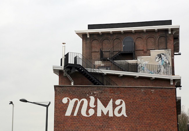 mima.jpg