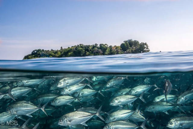most_breathtaking_overunder_shots_ever_640_22