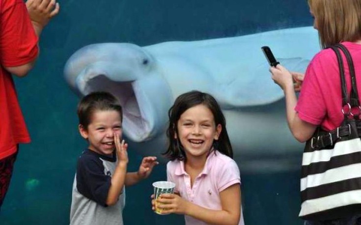 photobomb3