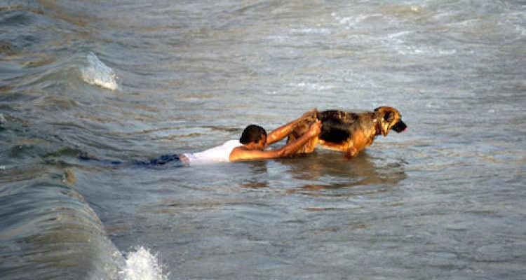 Το βίντεο που όλος ο κόσμος πρέπει να δει!