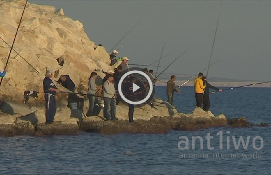 Ξεχείλισε τσιπούρες η θάλασσα της Λάρνακας! Χιλιάδες ψαράδες άρπαξαν την ευκαιρία (βίντεο)