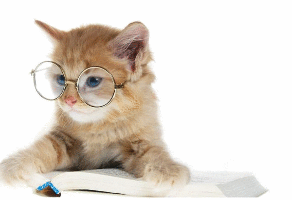 Cat with glasses 60156