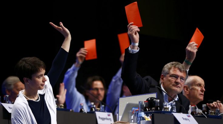 afd.jpg