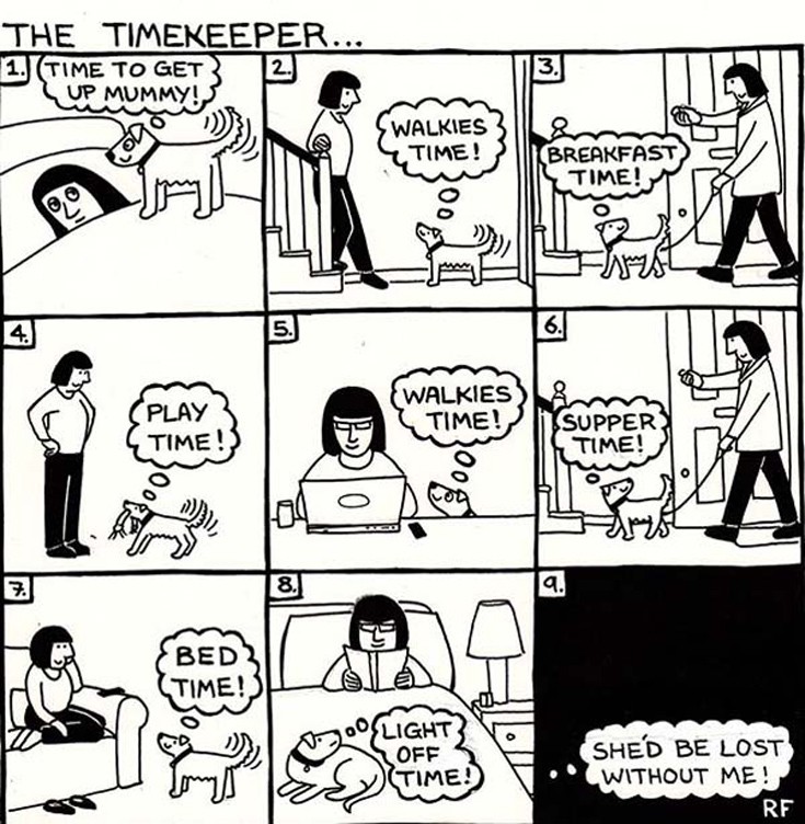 dogs2