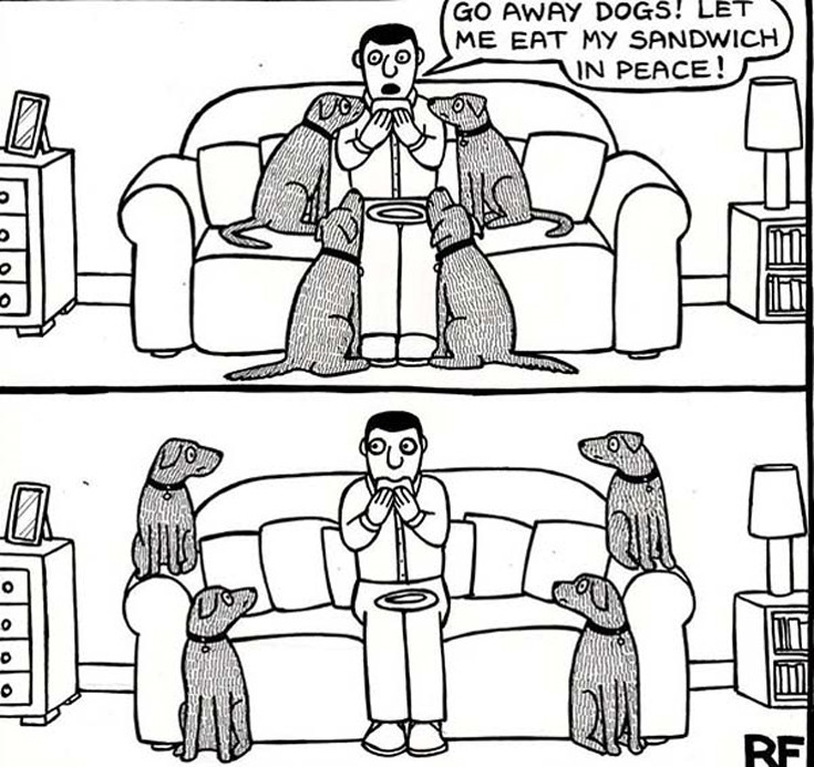 dogs4
