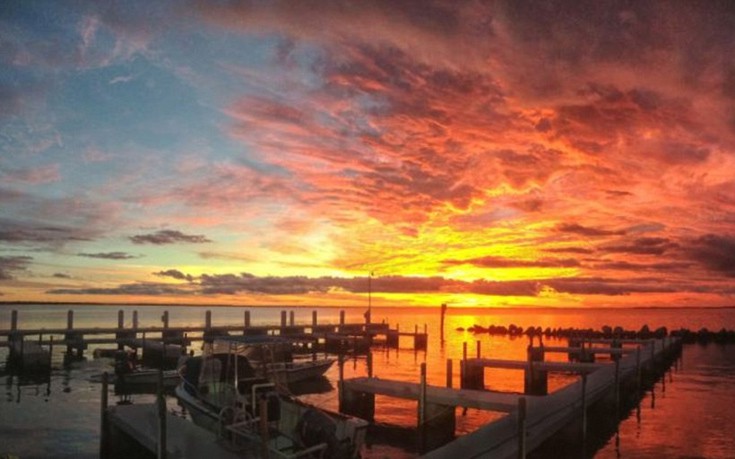 florida2.jpg