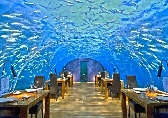 ithaa-underwater-restaurant-650×459.jpg