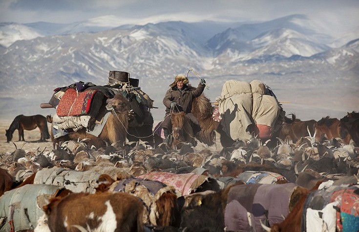 nomads19