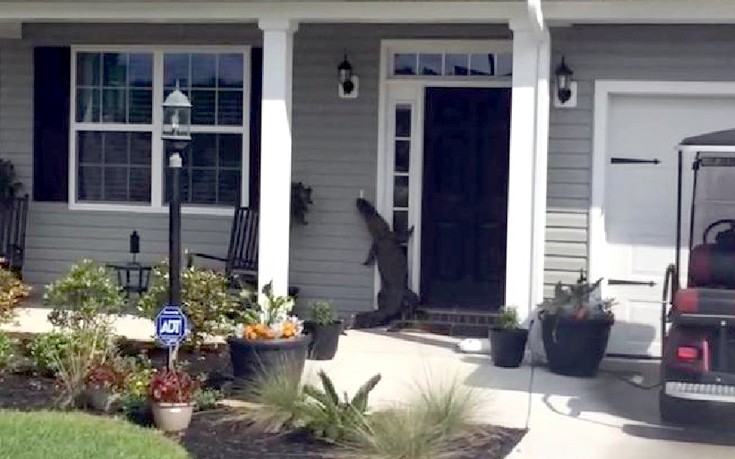 visitor.jpg