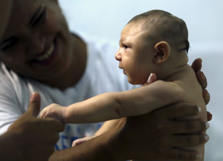 zika.jpg