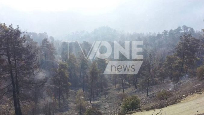 Ένας νεκρός δασοπυροσβέστης και δύο τραυματίες στον Άγιο Θεόδωρο – Ανατράπηκε το βυτιοφόρο στο οποίο επέβαιναν
