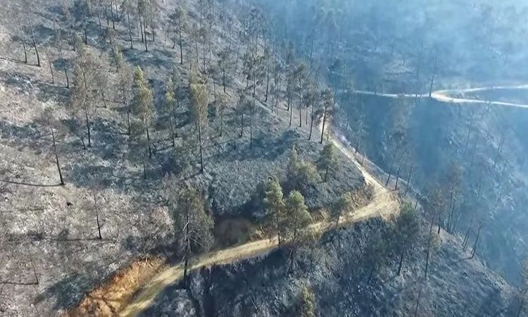 «Γροθιά» στο στομάχι οι εικόνες από drone μετά την πυρκαγιά (video)!