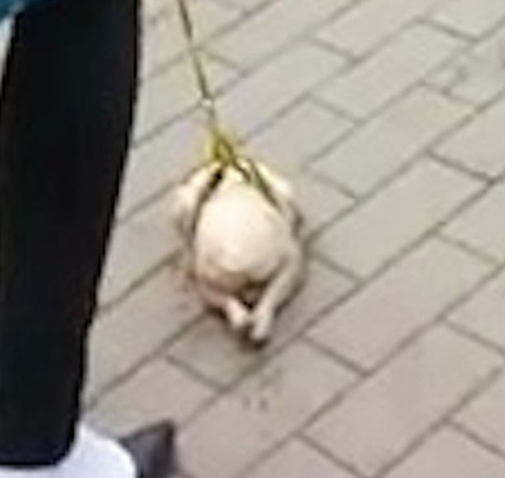 crch1.jpg