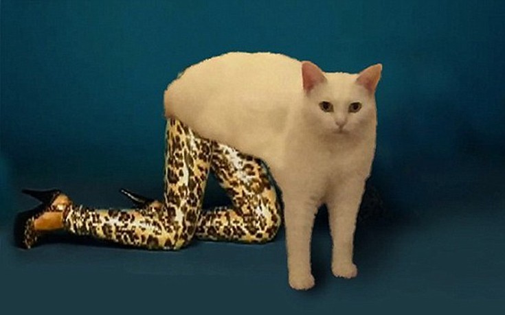 gata5