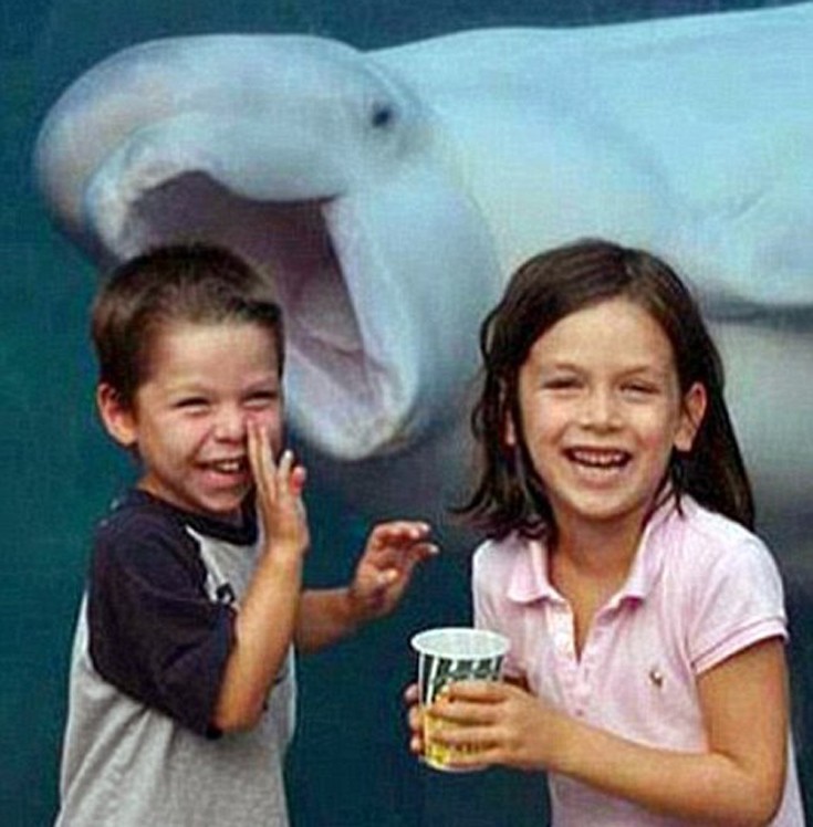 photobomb13