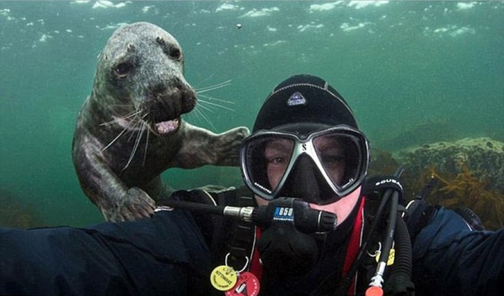 photobomb15