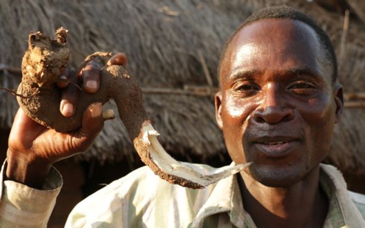 Malawi2.jpg